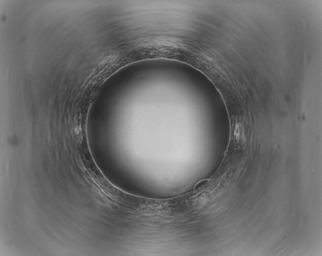 X0000089900771200706281446