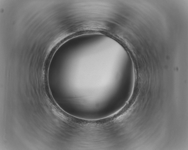 X0000089900779200706281446