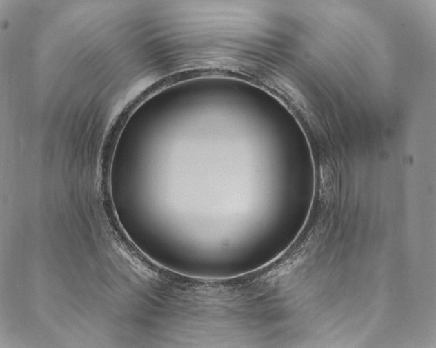 X0000089900780200706281446