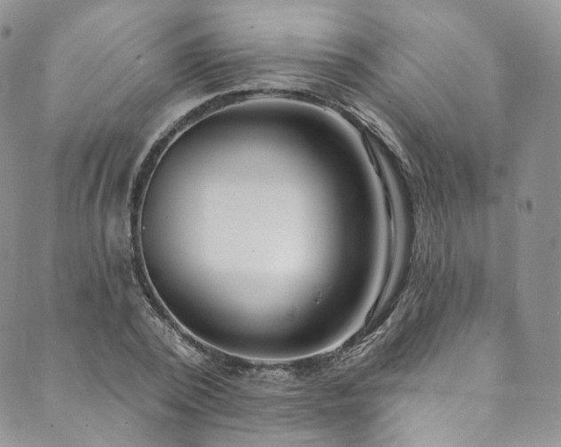 X0000089900784200706281446