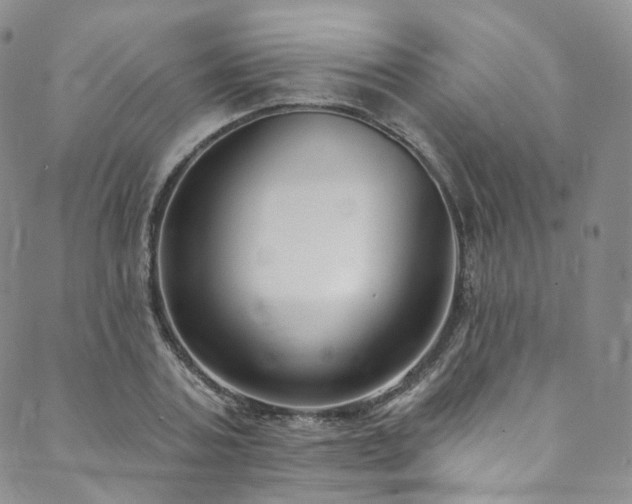 X0000089900787200706281446
