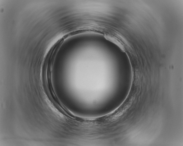 X0000089900788200706281446