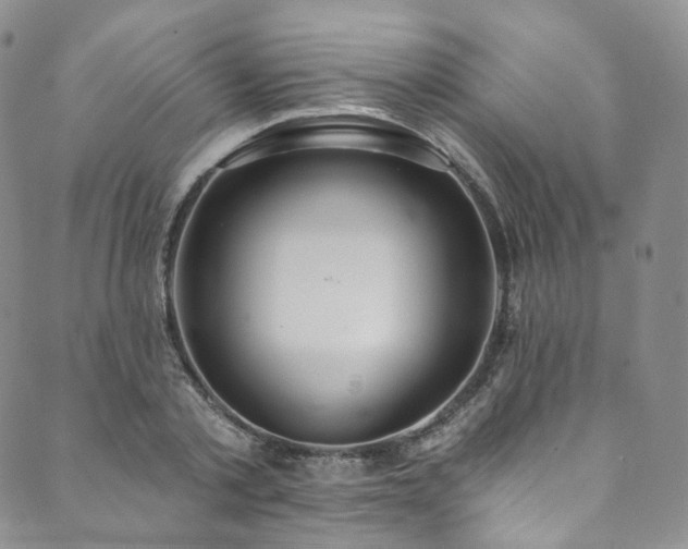 X0000089900789200706281446