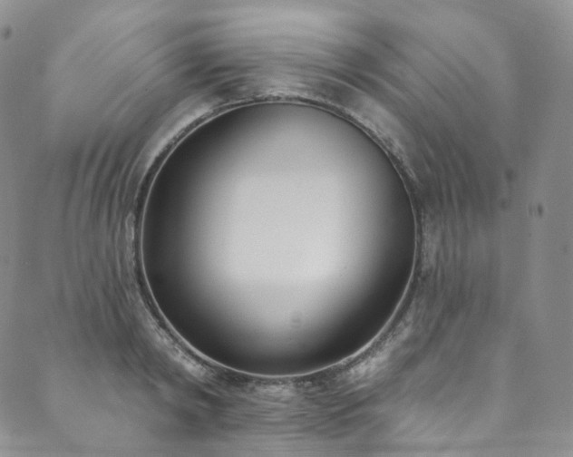 X0000089900798200706281446