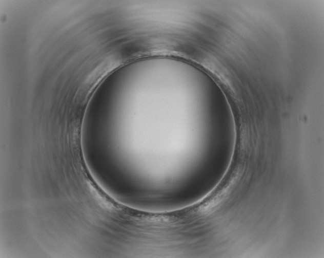 X0000089900801200706281446