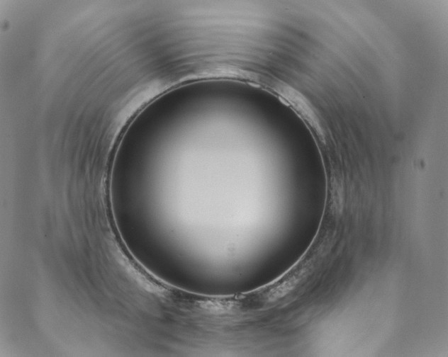 X0000089900805200706281446