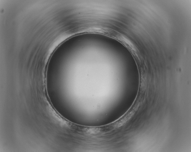 X0000089900808200706281446