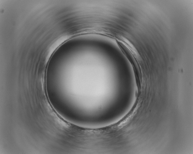 X0000089900812200706281446
