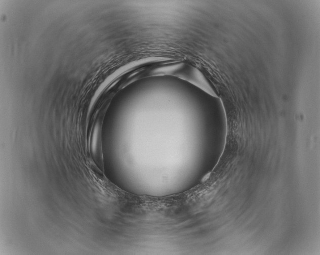 X0000089900818200706281445