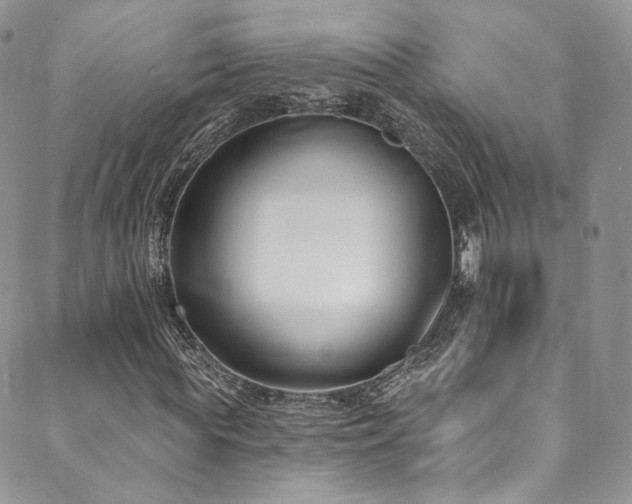 X0000089900819200706281445