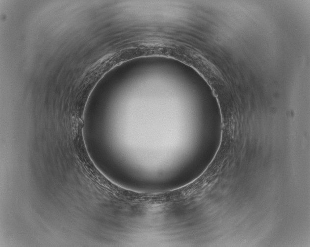 X0000089900821200706281445