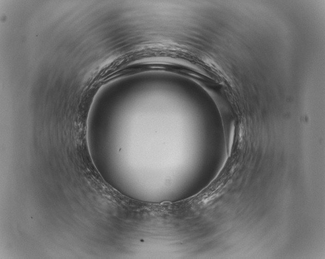 X0000089900822200706281445