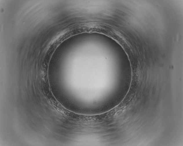 X0000089900823200706281445