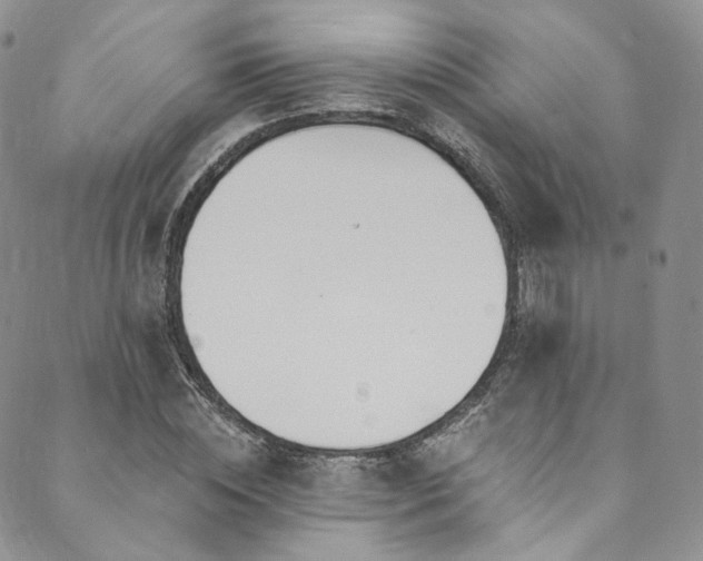 X0000089900828200706281445