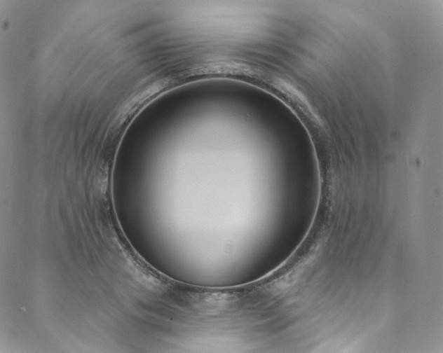 X0000089900841200706281445