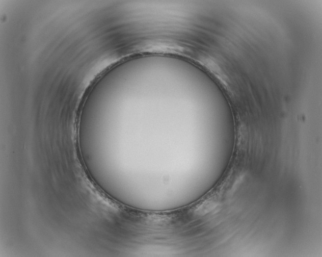 X0000089900848200706281445