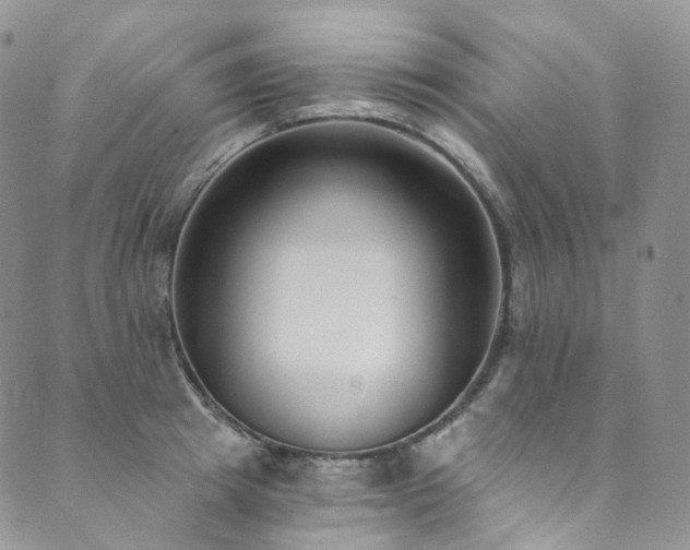 X0000089900849200706281445