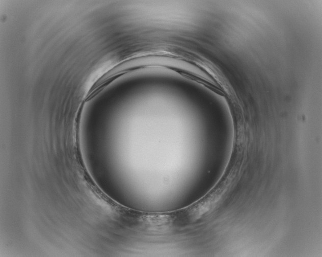X0000089900858200706281445