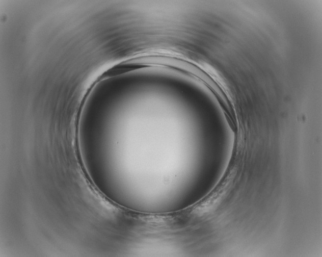 X0000089900862200706281446