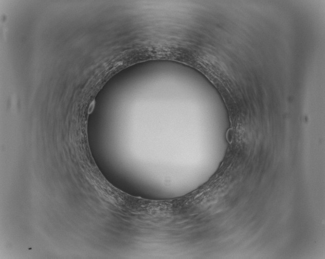 X0000089900865200706281445