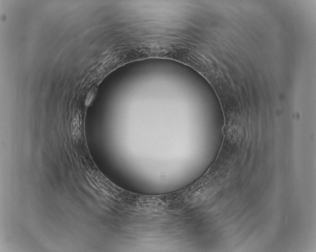 X0000089900866200706281445