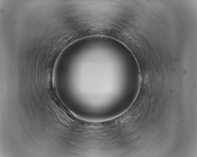 X0000089900868200706281445