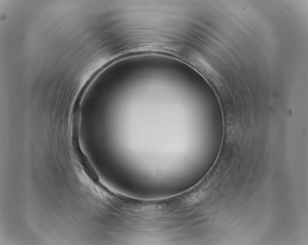 X0000089900892200706281444