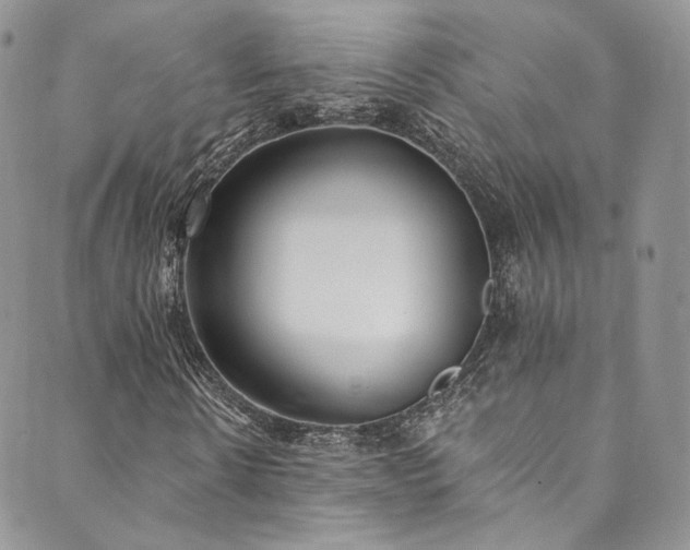 X0000089900914200706281443