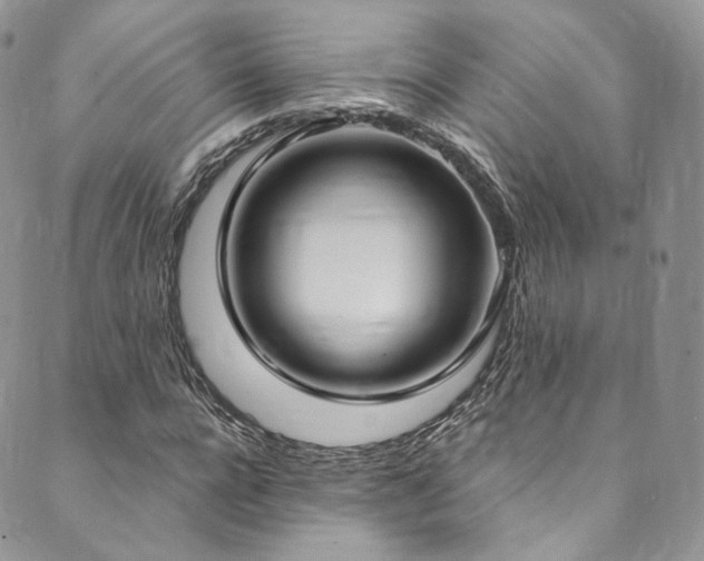 X0000089900920200706281443