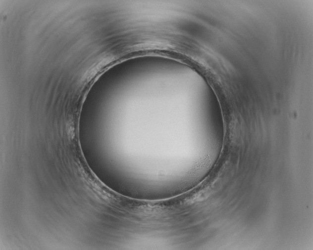 X0000089900929200706281443