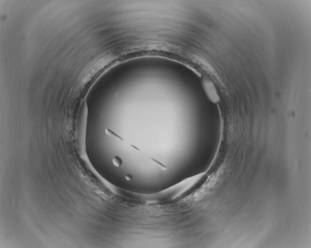 X0000089900977200706281443