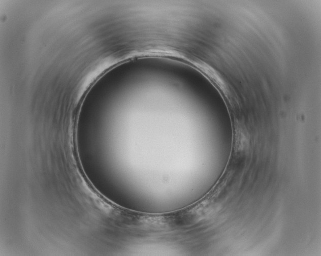 X0000089901006200706281442