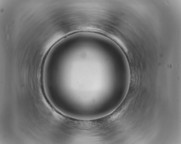 X0000089901007200706281442