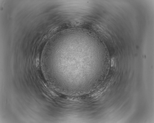 X0000089901011200706281442