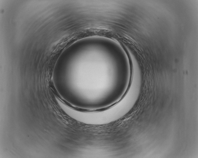 X0000089901014200706281442