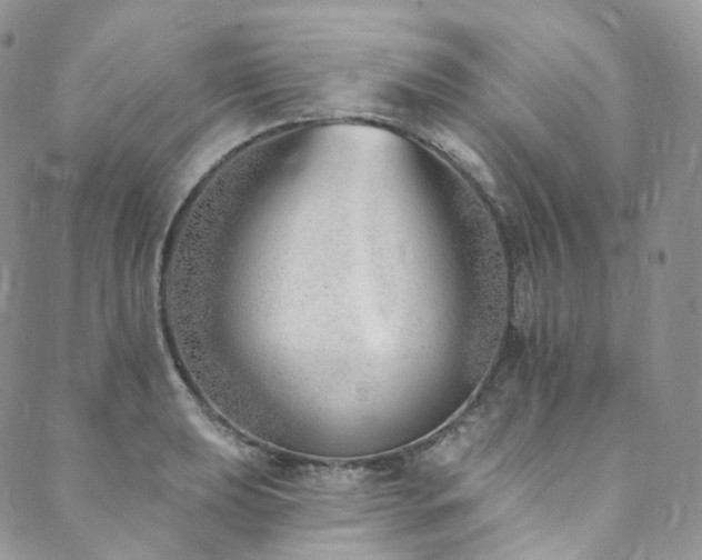 X0000089901039200706281442
