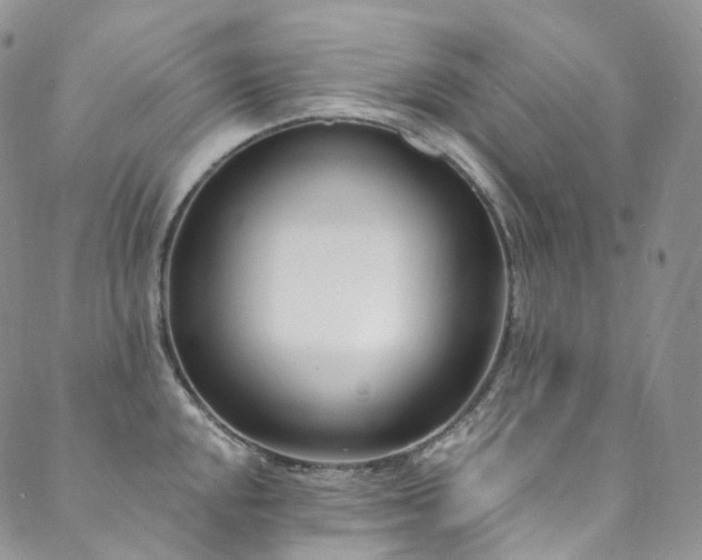 X0000089901048200706281442