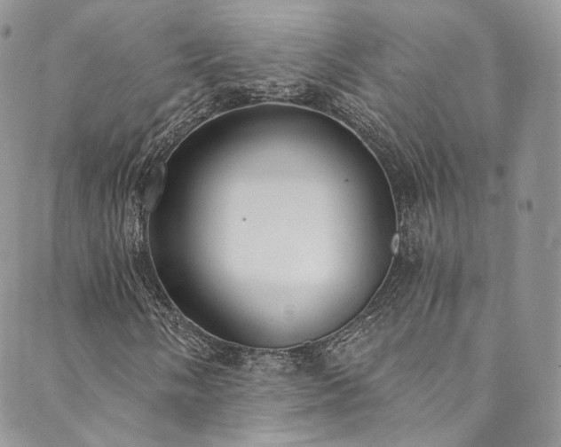 X0000089901058200706281442