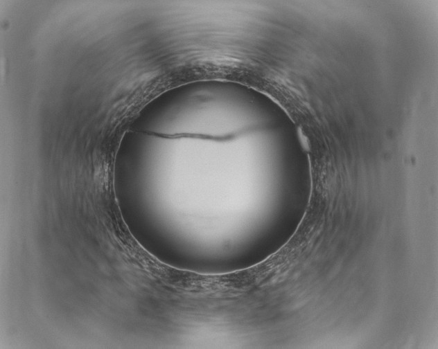 X0000089901061200706281442