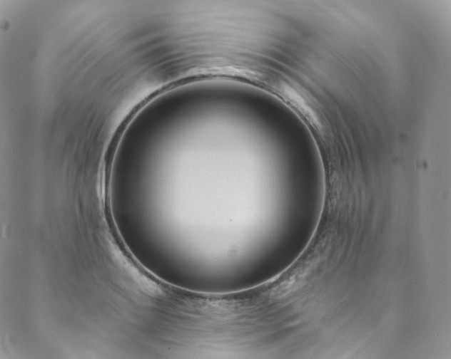 X0000089901084200706281441