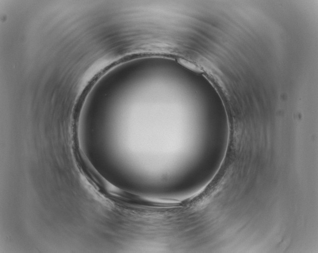 X0000089901085200706281441