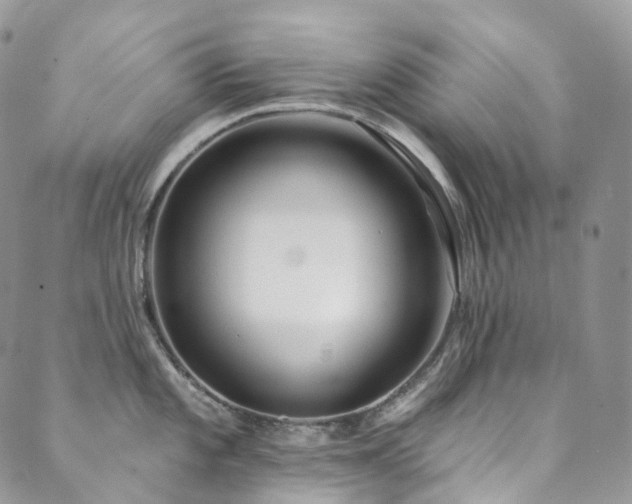 X0000089901101200706281441