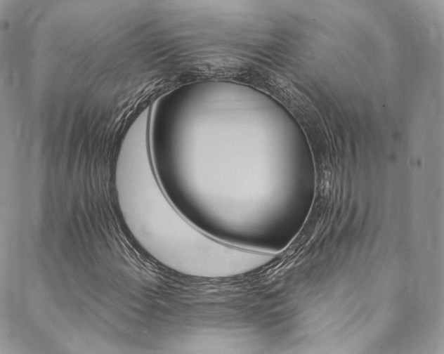 X0000089901108200706281440