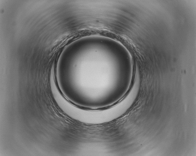 X0000089901110200706281440
