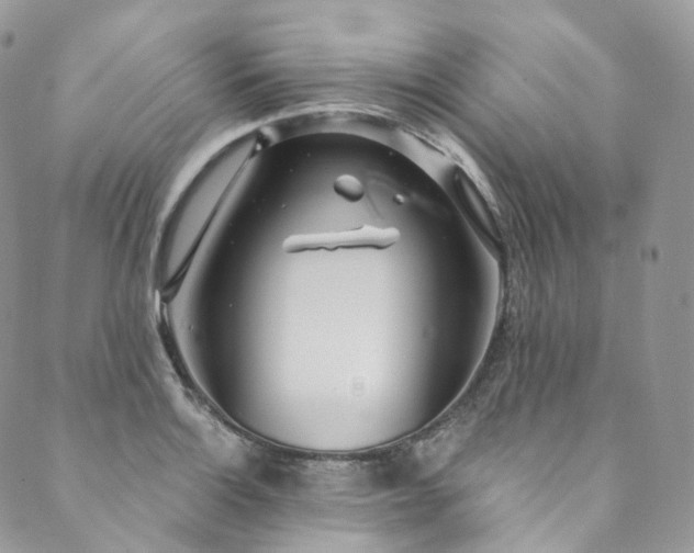 X0000089901132200706281441
