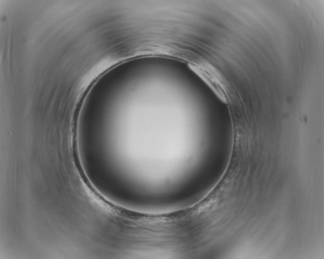 X0000089901143200706281441