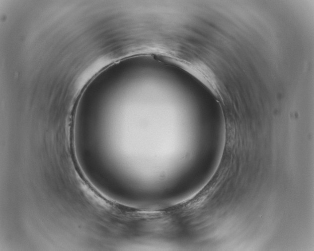 X0000089901151200706281441