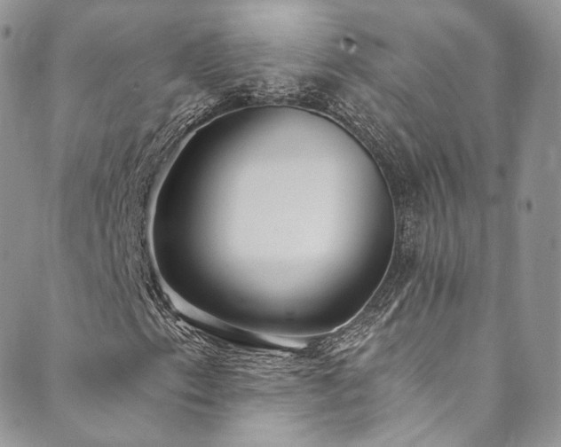 X0000089901153200706281440