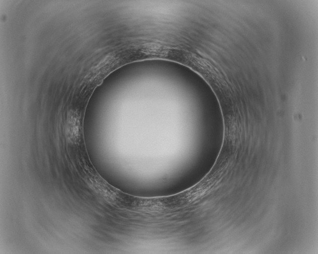 X0000089901154200706281440