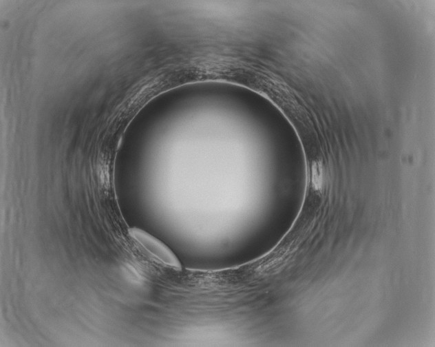 X0000089901155200706281440